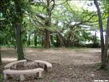 Junghas Park - BAYAMÓN